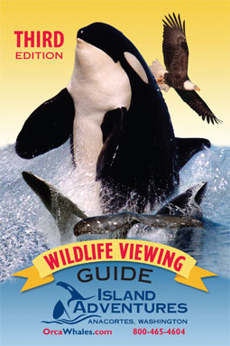 2008 Wildlife Viewing Guide