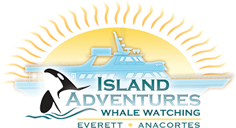 Island Adventure Whale Watching Tours, San Juan Islands, Washington State