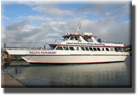 Our newest whale watching boat, the Island Explorer 3.