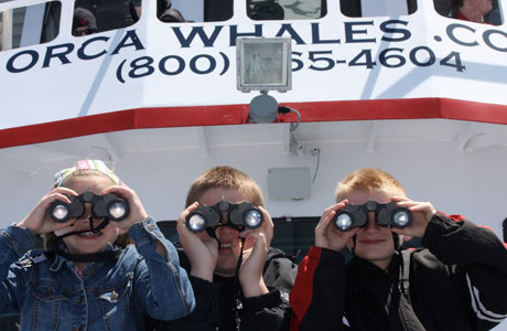 whale watching tour port angeles